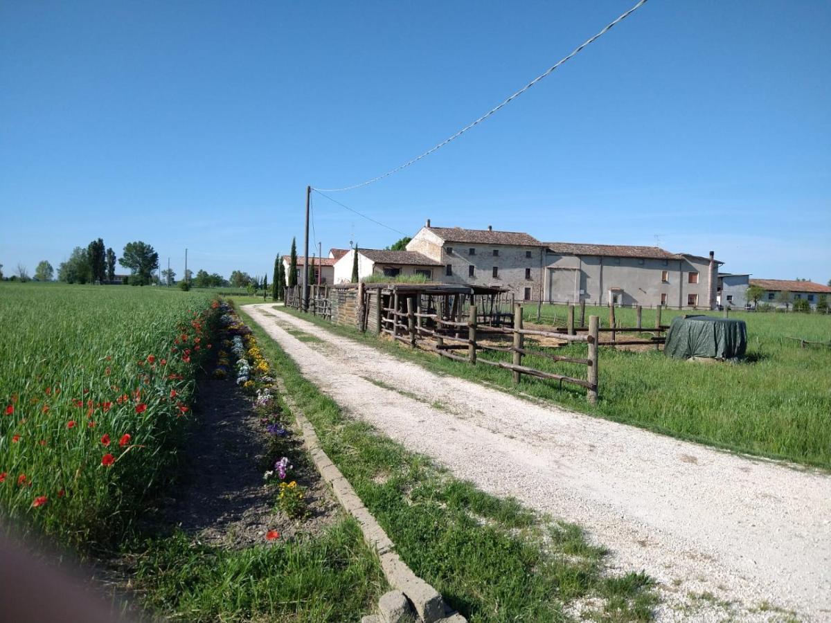 B&B Castel Goffredo San P 3 Exterior foto